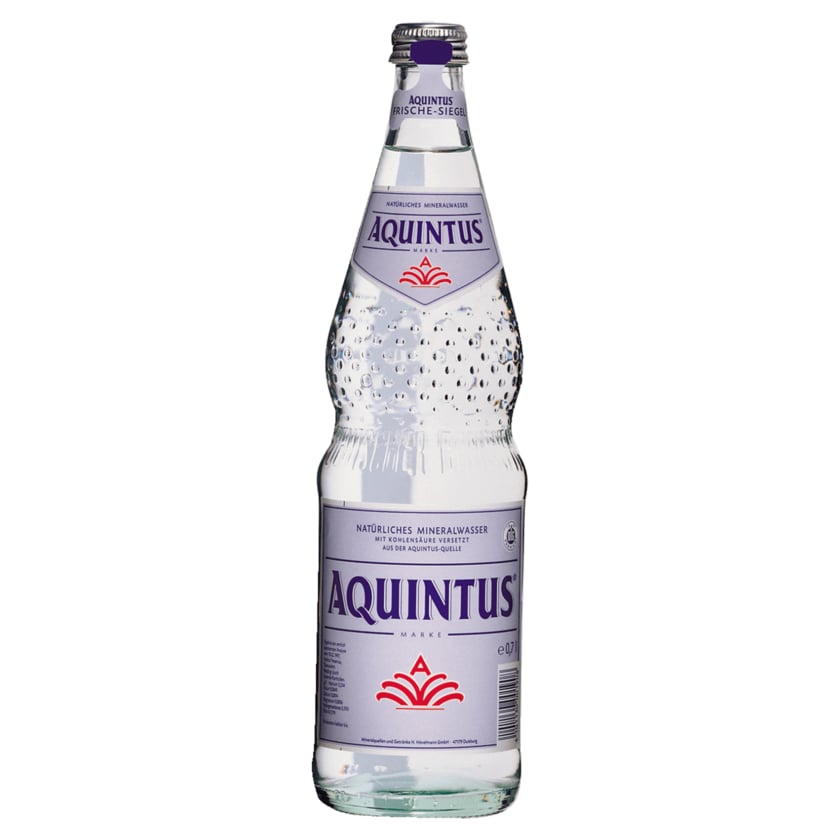 Aquintus Quelle Mineralwasser Classic 0,7l